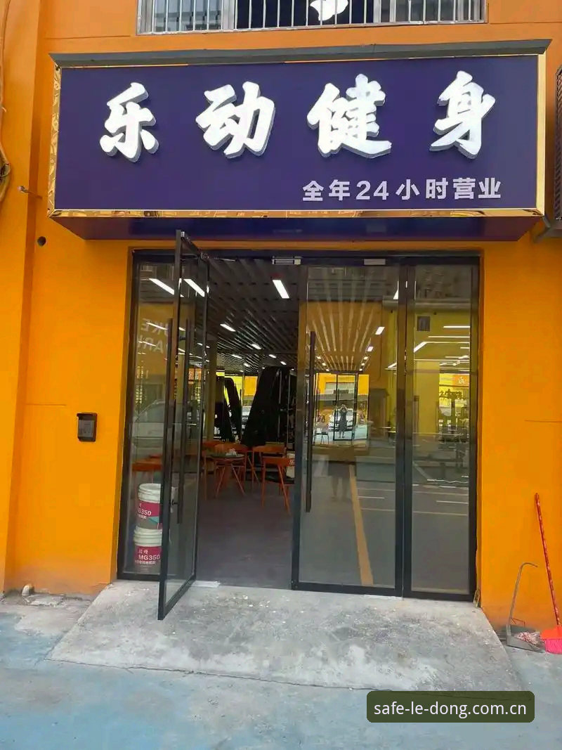 乐动体育官网vs仿冒站点：如何通过正版安全链接获取真正赛事竞猜体验？